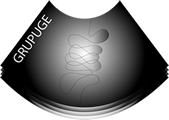 3.º Curso Teórico-Prático de Ecografia e Ecoendoscopia Anorretal